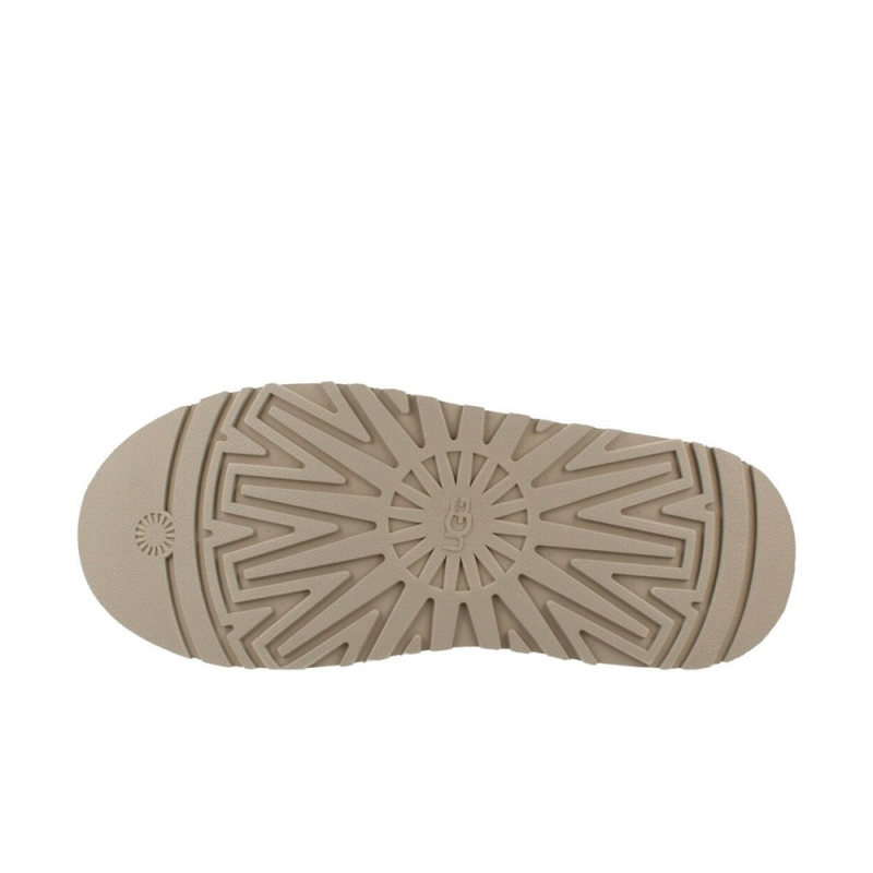 Zuecos Mujer Ugg W Taz Ii Gris